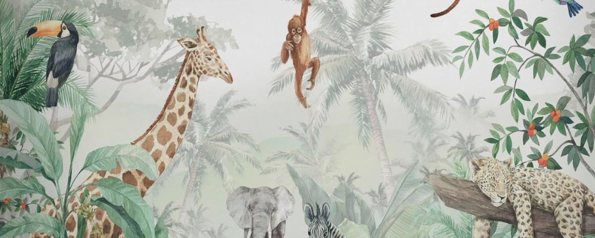 Nascita di Francesco